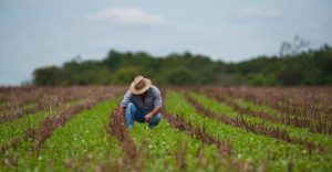 Pré-Sal pode injetar bilhões no agronegócio gaúcho e aliviar crise de produtores rurais