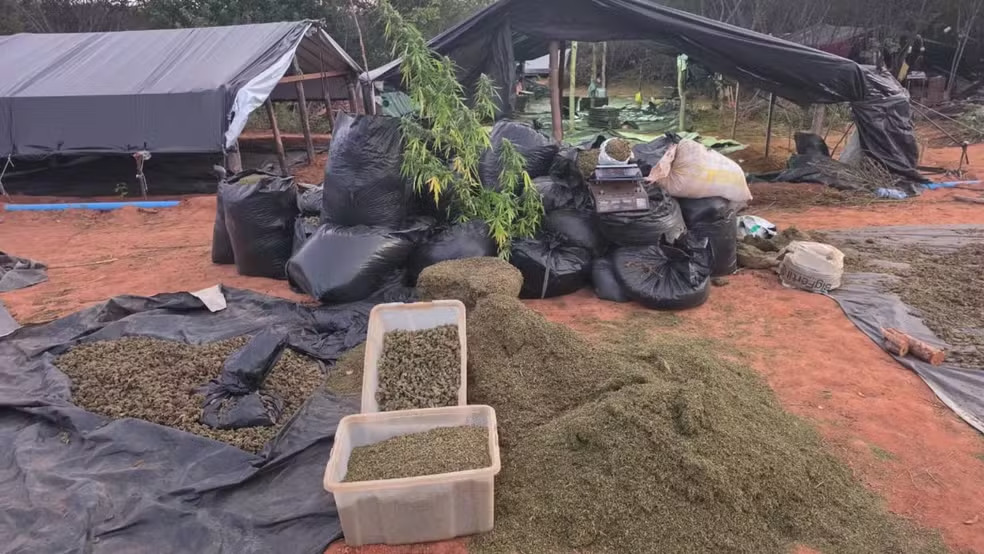 Escândalo no Ceará: deputado denuncia falhas graves em megaoperação antidrogas e aciona Polícia Federal