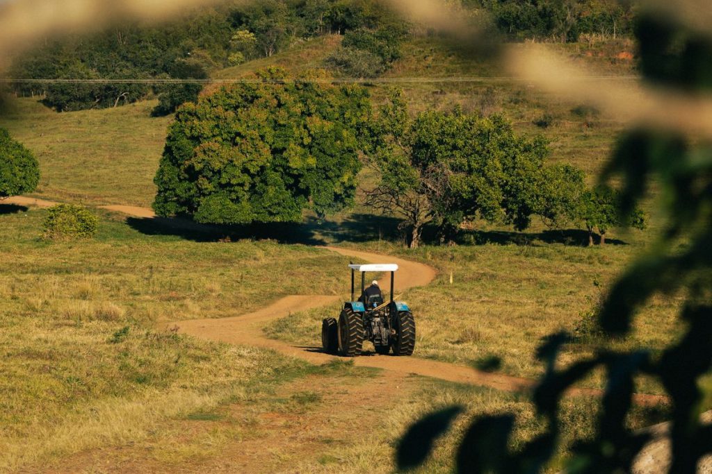 Produtores rurais alertam para 'insegurança jurídica' após mudança nas regras de renegociação de dívidas