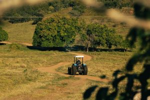 Produtores rurais alertam para 'insegurança jurídica' após mudança nas regras de renegociação de dívidas