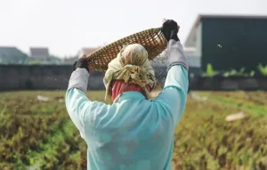 Empoderamento feminino no agronegócio ganha força com iniciativas de capacitação e combate à violência