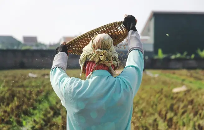 Empoderamento feminino no agronegócio ganha força com iniciativas de capacitação e combate à violência