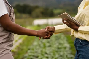 Logística no agronegócio: como produtores podem aumentar lucros em até 15% e evitar gargalos