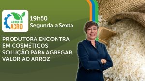 De arroz a cosméticos: empresa do RS transforma tradição agrícola em inovação para o autocuidado