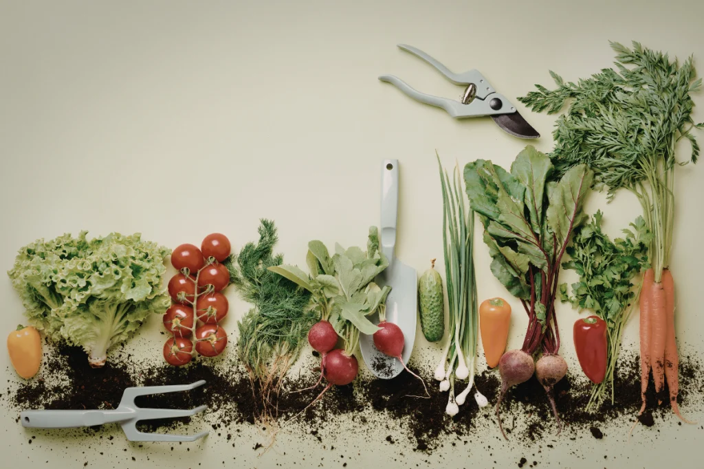 Agronegócio brasileiro é pilar contra inflação global e chave para segurança alimentar em 2026