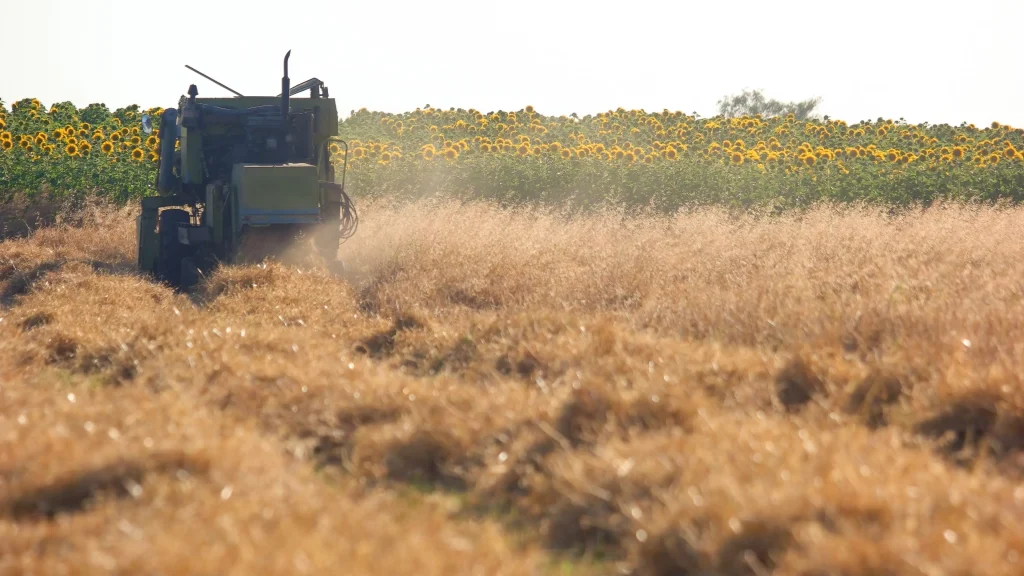 El Niño ameaça safra de soja e acende alerta para produtores brasileiros até 2027