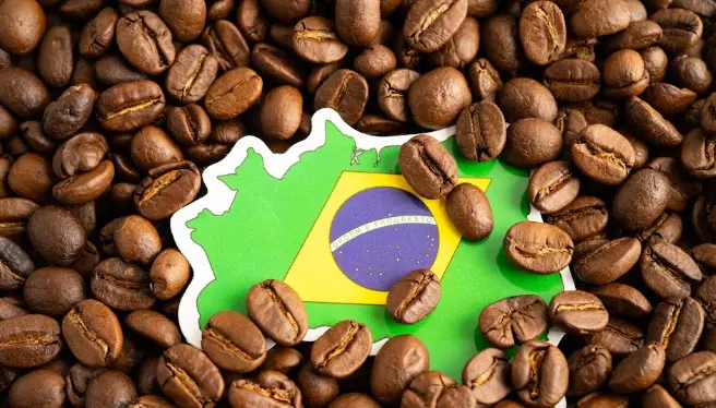 Café brasileiro alcança pódio mundial com vitória de Juliana Morgado na Brewers Cup 2026