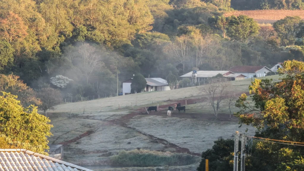 Massa polar avança e temperaturas despencam no Sul; geada prevista no Rio Grande do Sul