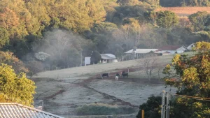 Massa polar avança e temperaturas despencam no Sul; geada prevista no Rio Grande do Sul