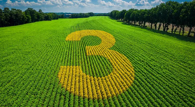 Três anos de A Força do Agro: a ponte informativa que aproxima a tradição do campo e a vida urbana