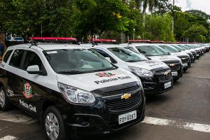 Polícia Civil mira desvios em 3 mil pés de maconha e aperta o cerco contra salvo-condutos no interior de SP