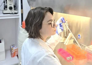 Pesquisa da USP descobre via alternativa à reposição hormonal para proteger a saúde feminina na menopausa