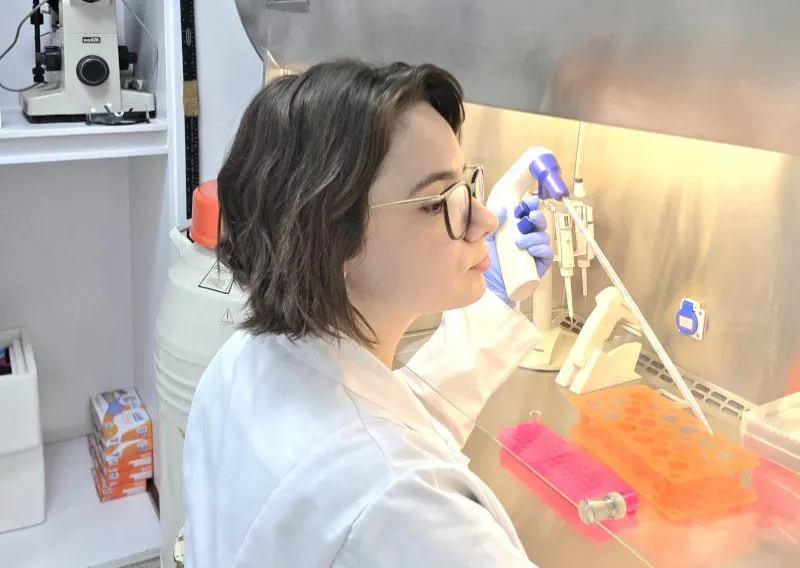 Pesquisa da USP descobre via alternativa à reposição hormonal para proteger a saúde feminina na menopausa