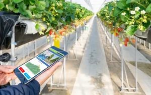 Novo centro em São Roque vai levar inteligência artificial e big data de graça ao pequeno produtor rural