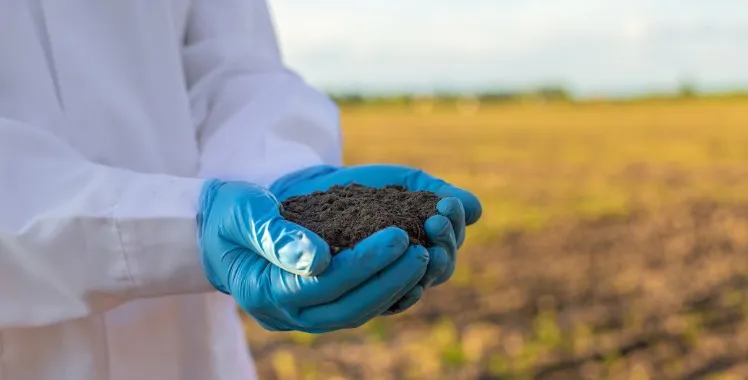 O segredo por trás da produtividade no campo: por que a reposição de nutrientes do solo a cada safra é vital para o agro