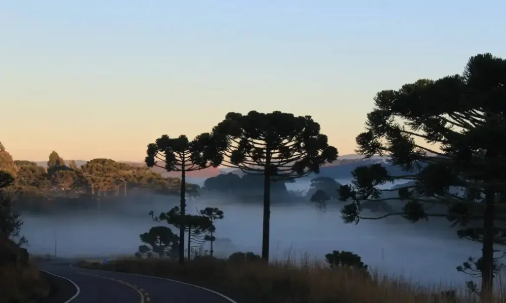 Massa de ar polar avança pelo Brasil e derruba temperaturas com risco de geada no Sul
