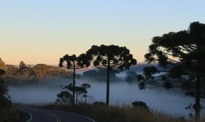 Massa de ar polar avança pelo Brasil e derruba temperaturas com risco de geada no Sul
