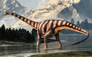 Fóssil achado na Espanha revela migração de Diplodocus