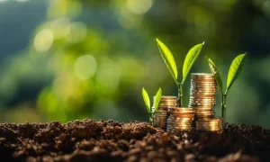 Como o agro paulista corta custos e eleva renda no campo