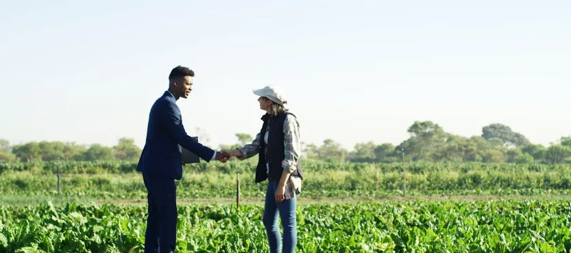 Direito e agronegócio debatem segurança jurídica no campo