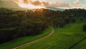 Gestão de mão de obra eleva eficiência no campo