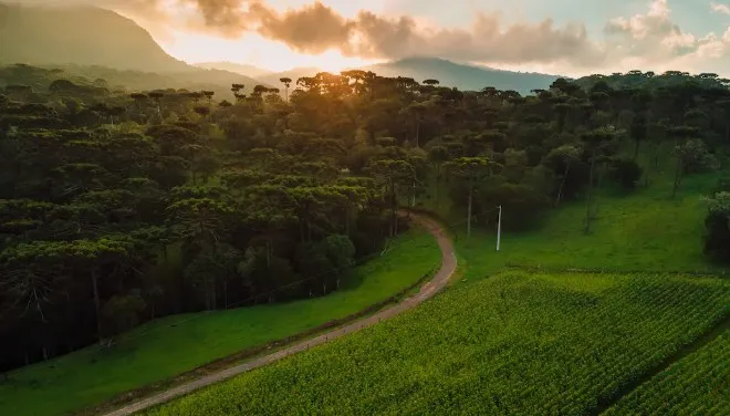 Gestão de mão de obra eleva eficiência no campo